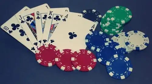 5588bet app