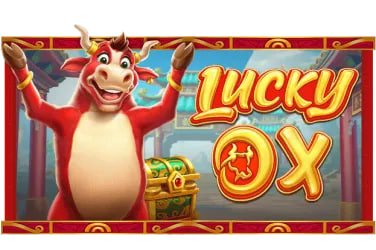 5588bet app